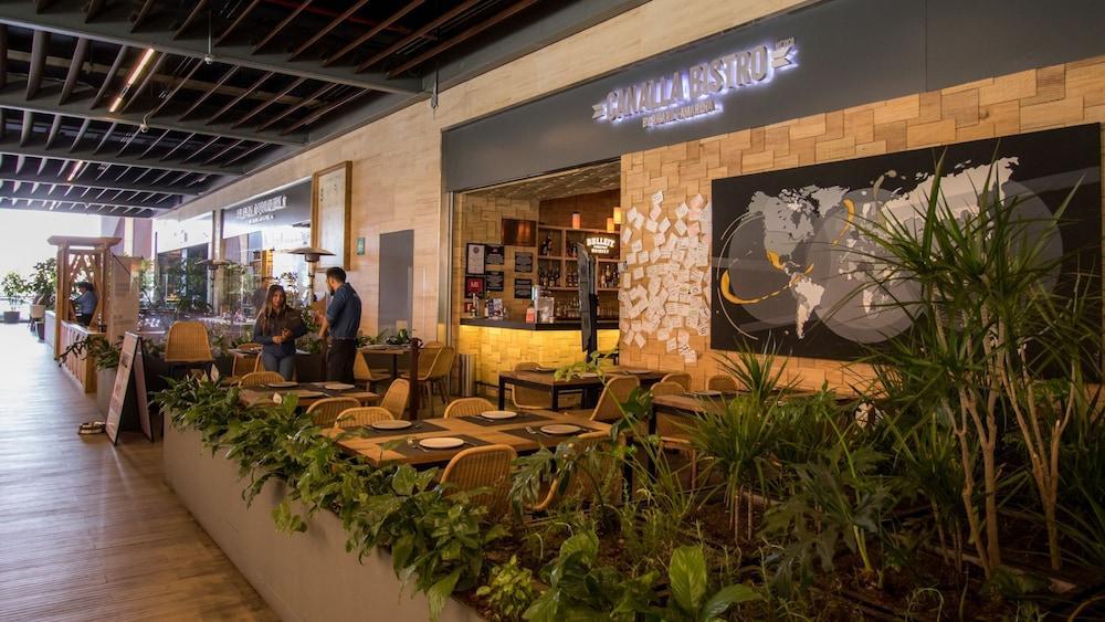 Miyana Suites مدينة مكسيكو المظهر الخارجي الصورة